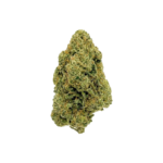 BUBBLE GUM