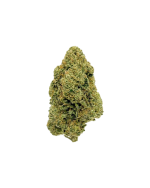 BUBBLE GUM