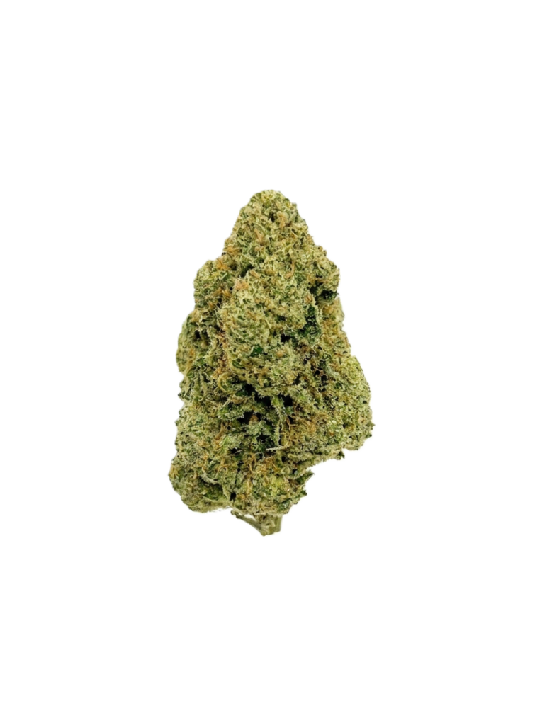 BUBBLE GUM