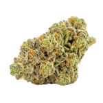 MIMOSA CBD