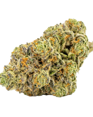 MIMOSA CBD